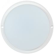 Светильник светодиодный ДПО 4002 12Вт IP54 4000K круг белый пластик IEK