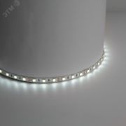 Лента светодиодная 14.4Вт/м 12В 6500К IP20 60LED/м LS606